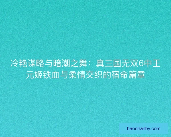 冷艳谋略与暗潮之舞：真三国无双6中王元姬铁血与柔情交织的宿命篇章