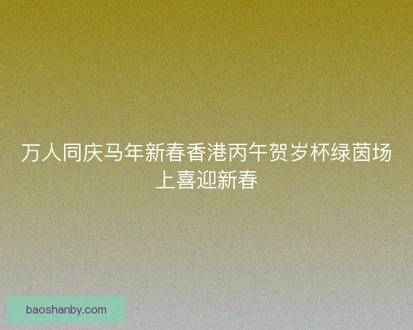 万人同庆马年新春香港丙午贺岁杯绿茵场上喜迎新春 万人同庆马年新春香港丙午贺岁杯绿茵场上喜迎新春