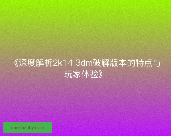 《深度解析2k14 3dm破解版本的特点与玩家体验》