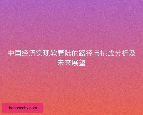 中国经济实现软着陆的路径与挑战分析及未来展望