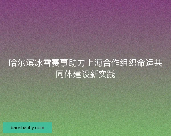 哈尔滨冰雪赛事助力上海合作组织命运共同体建设新实践