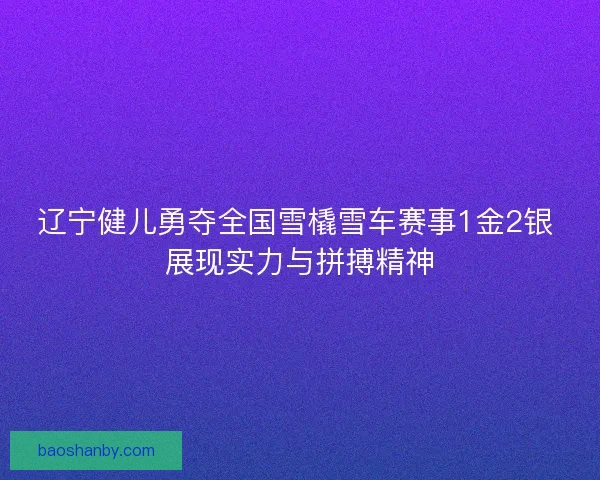 辽宁健儿勇夺全国雪橇雪车赛事1金2银 展现实力与拼搏精神